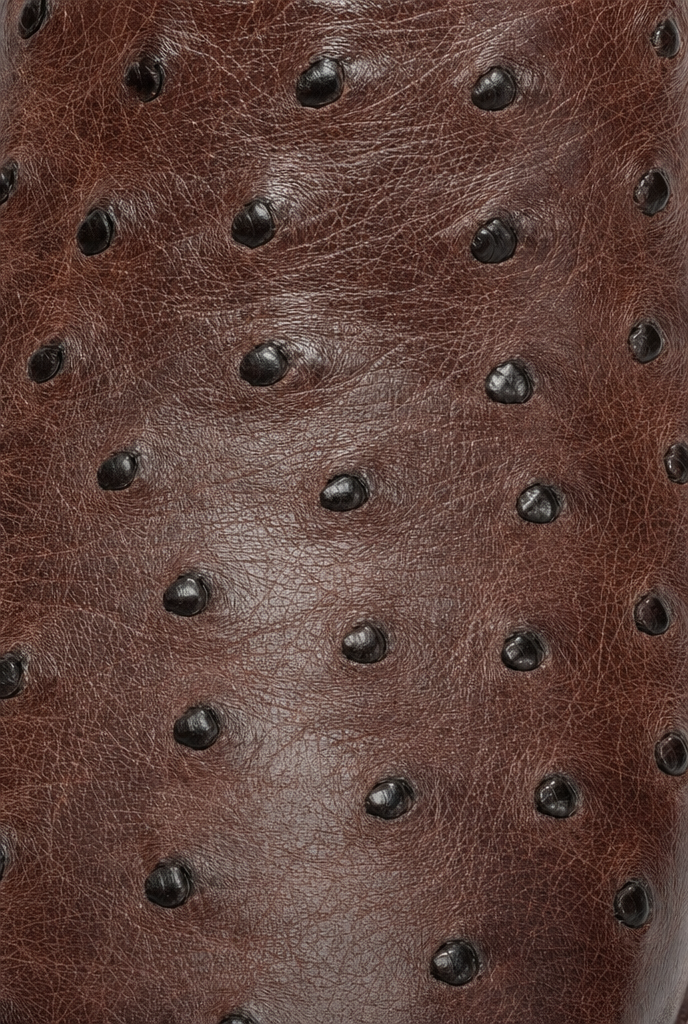 Ostrich leather